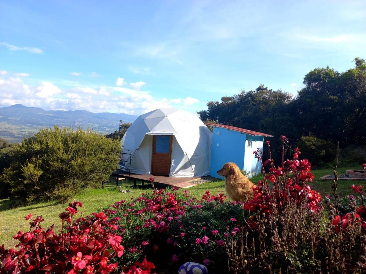 Glamping Hermoso Amanecer جوتافيتا المظهر الخارجي الصورة