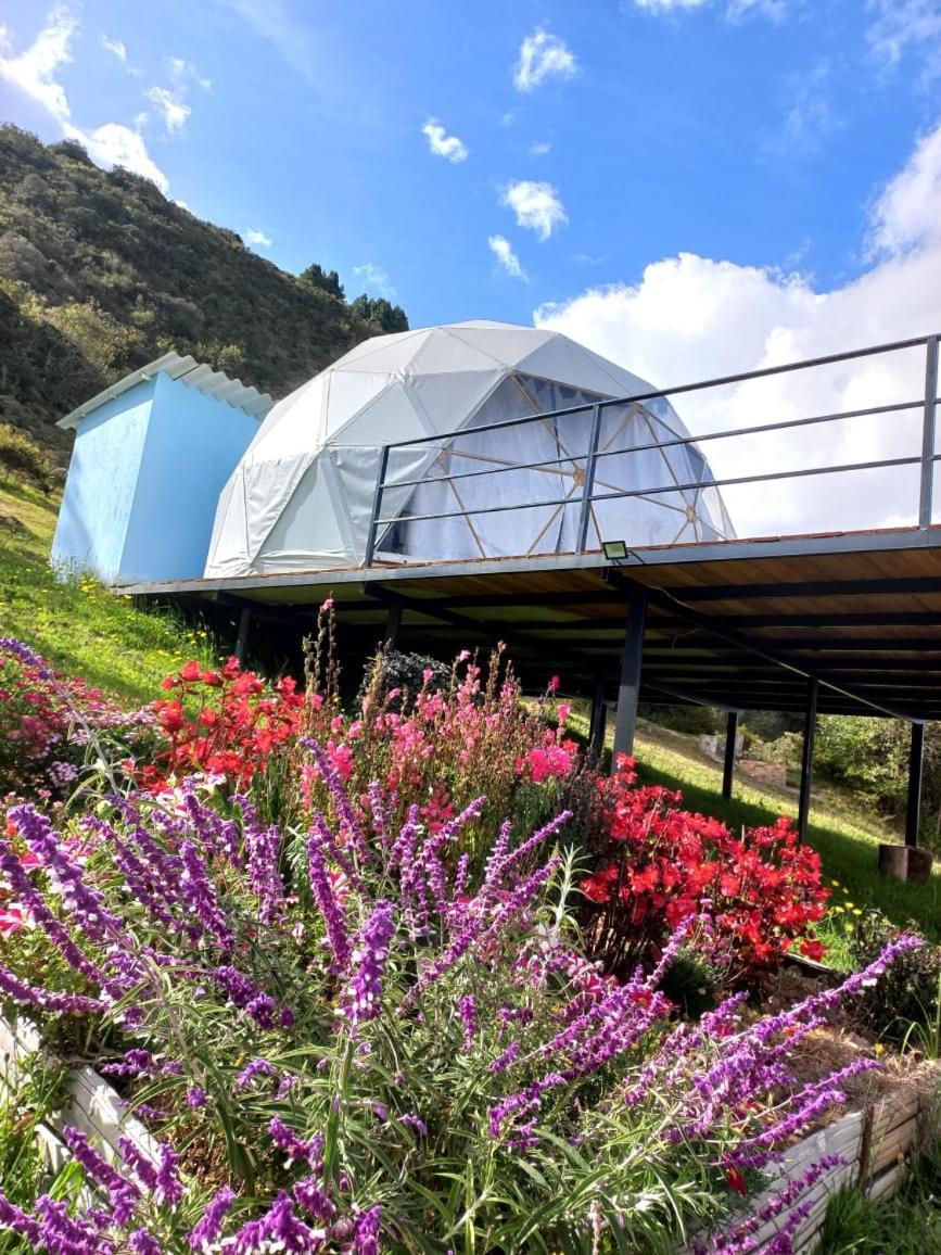 Glamping Hermoso Amanecer جوتافيتا المظهر الخارجي الصورة