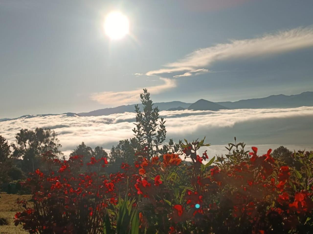 Glamping Hermoso Amanecer جوتافيتا المظهر الخارجي الصورة