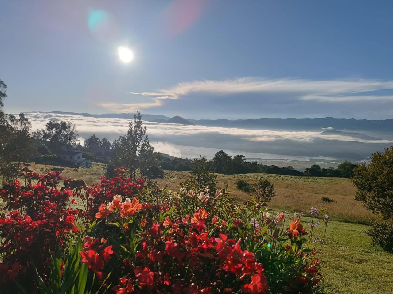 Glamping Hermoso Amanecer جوتافيتا المظهر الخارجي الصورة