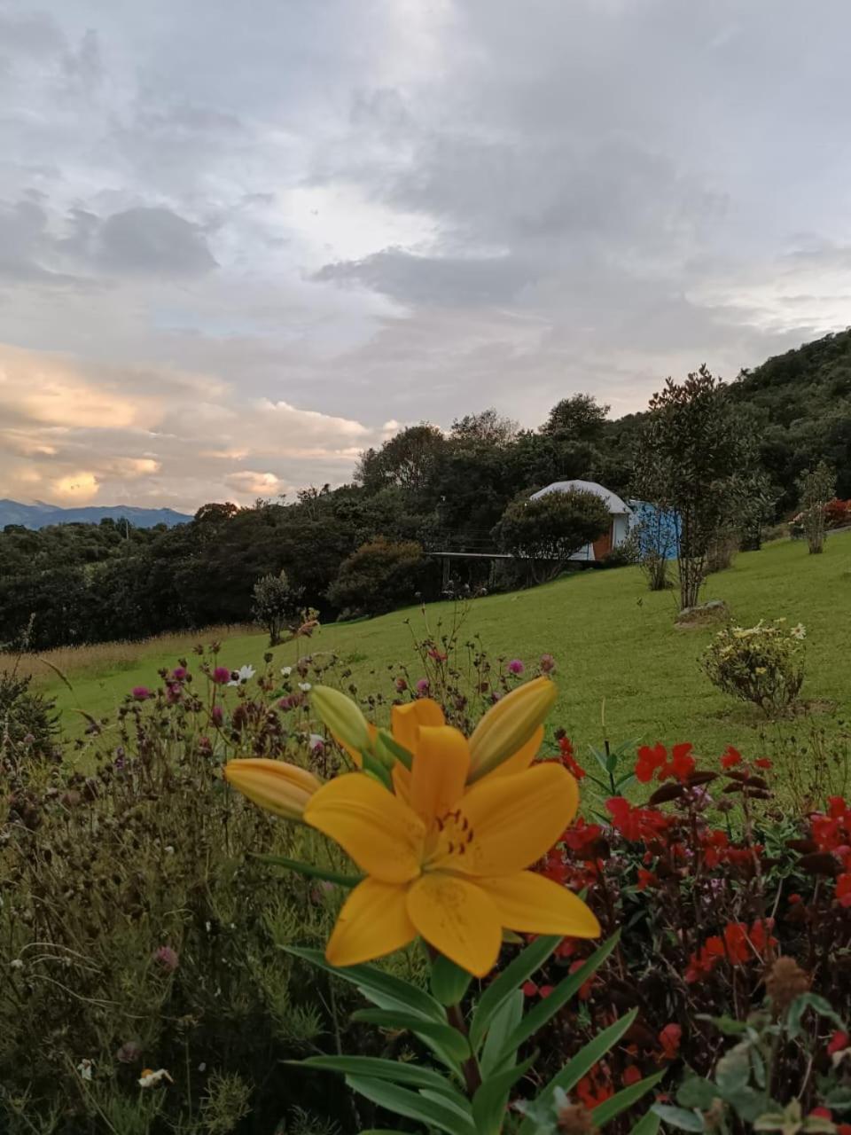 Glamping Hermoso Amanecer جوتافيتا المظهر الخارجي الصورة